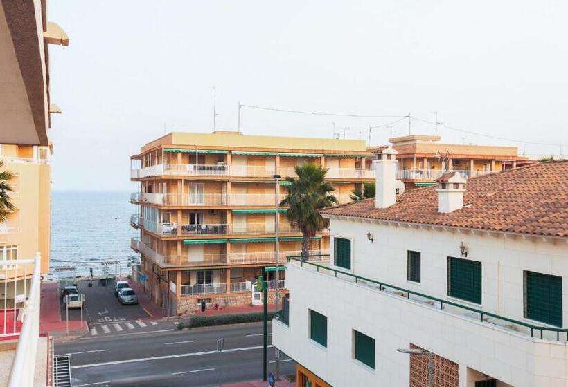 اتاق استاندارد, Tuto