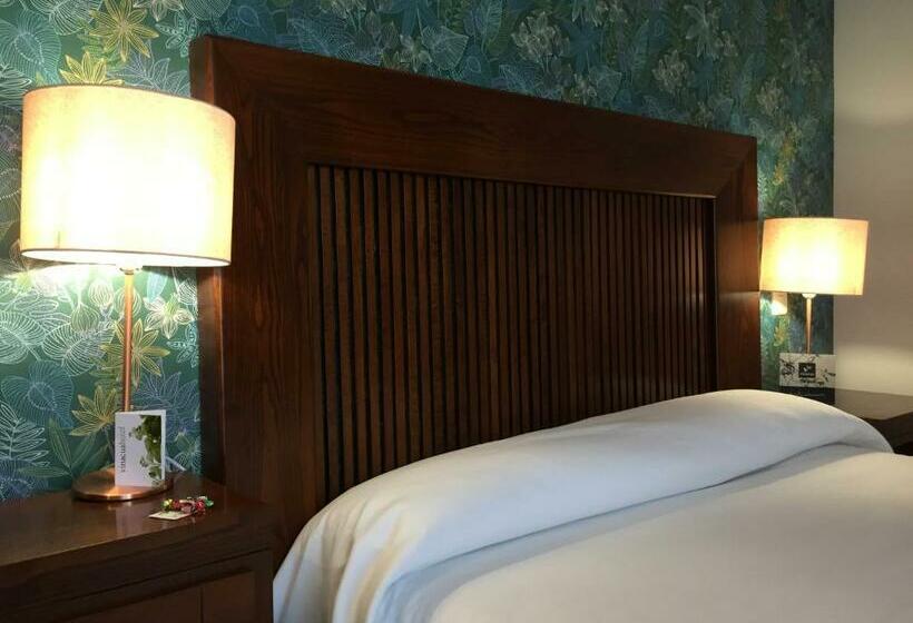 اتاق سوپریور, Vinacua