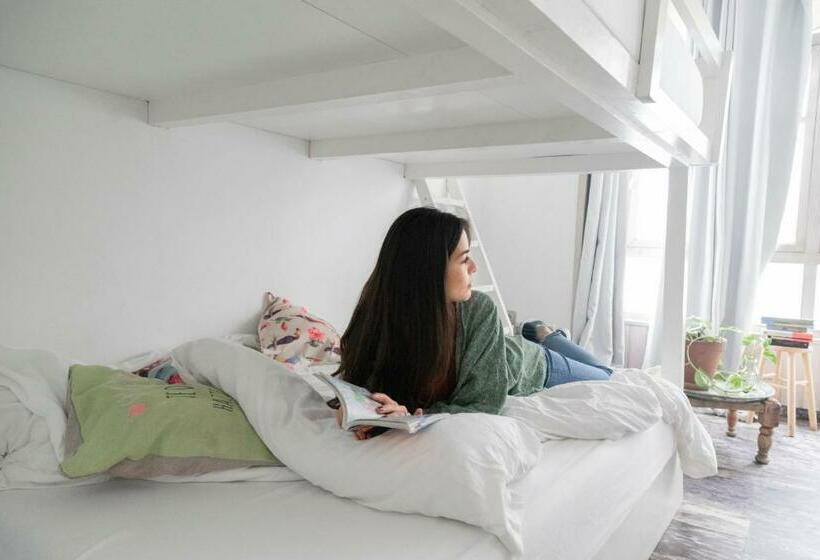 家庭间, La Cocotera Boutique Hostel & Coworking
