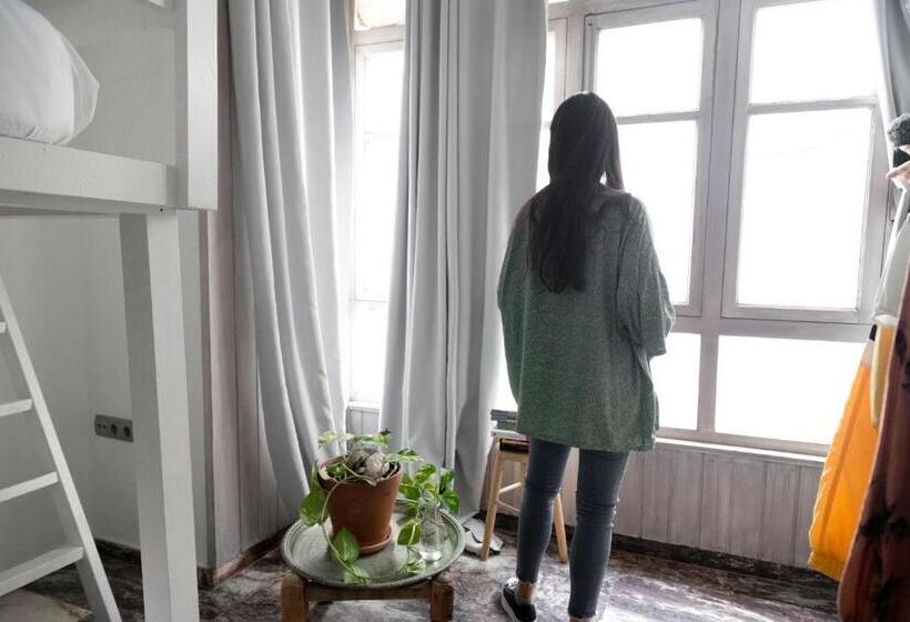 家庭间, La Cocotera Boutique Hostel & Coworking