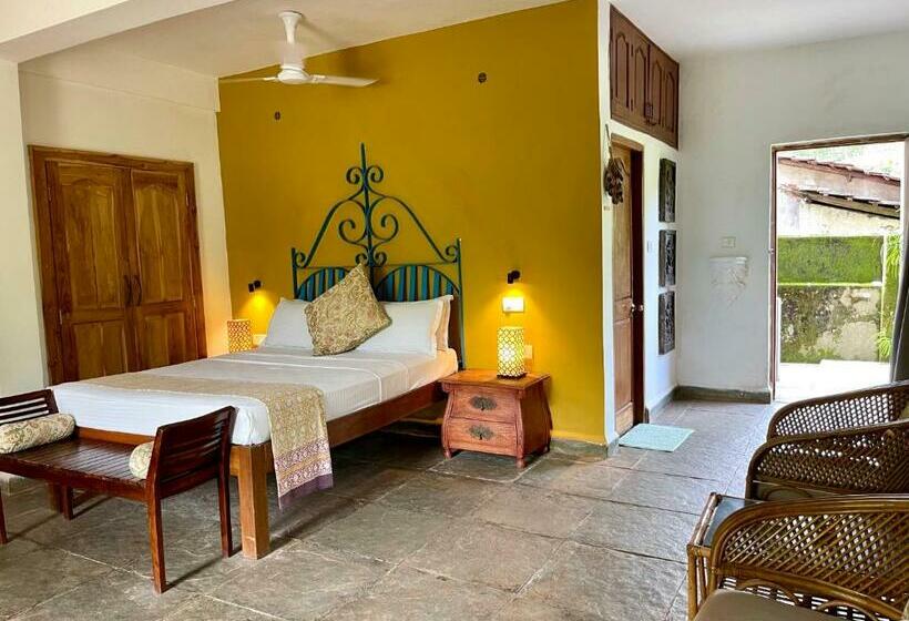 스탠다드 스튜디오, Casa Da Praia