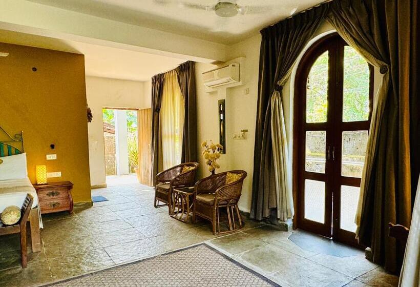 استودیوی استاندارد, Casa Da Praia