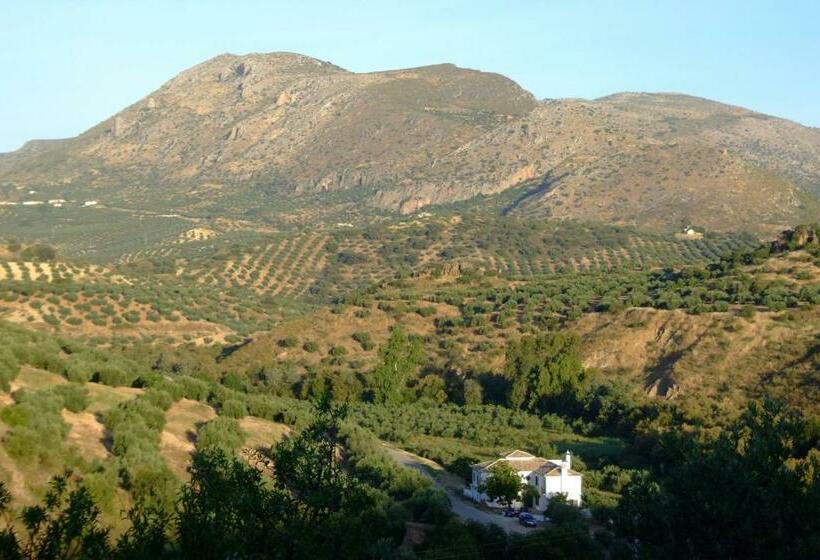 חדר סופריור, Casa Olea Hotel Rural