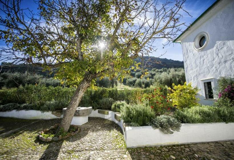 חדר סופריור, Casa Olea Hotel Rural