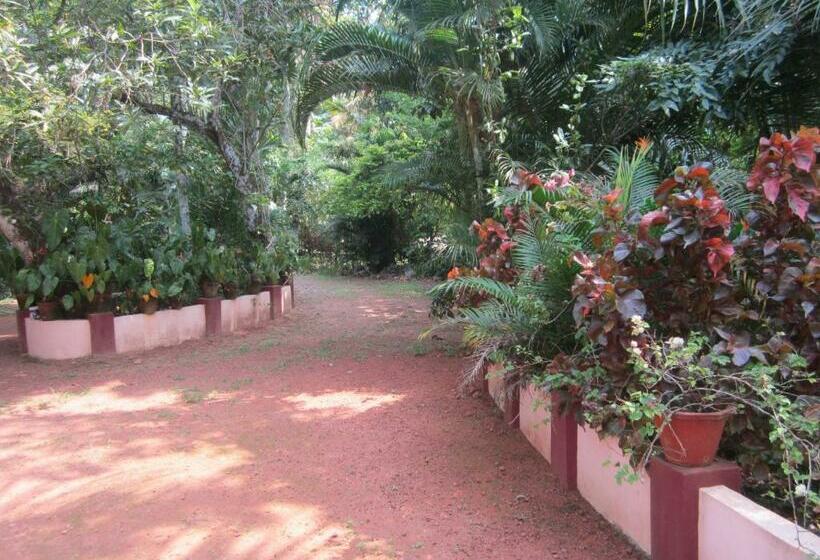 标准间, Gk`s Riverview Homestay