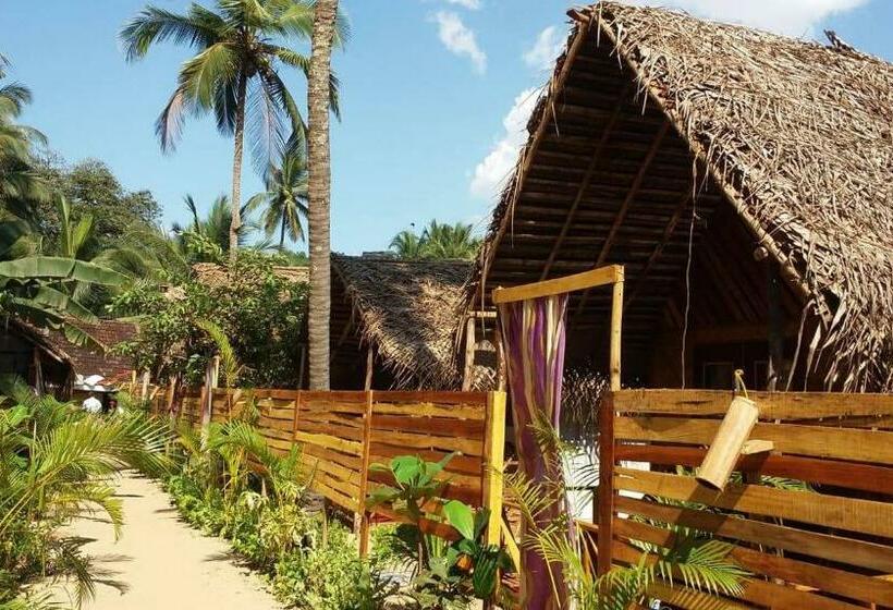 كابينة, Ducknchill Agonda