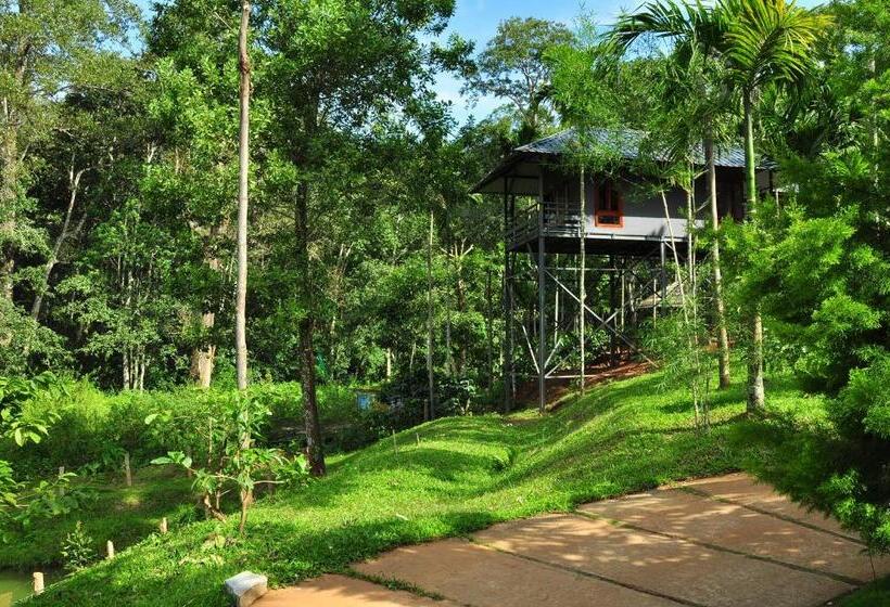 오두막, The Woods Resorts Wayanad