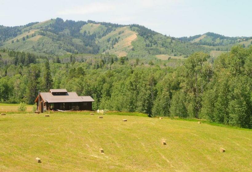 اتاق لوکس, Fin And Feather Inn