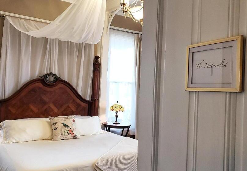 带大床的标准间, South Court Inn