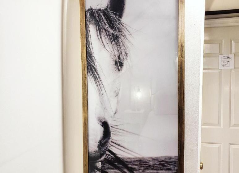 キャビン, South Court Inn