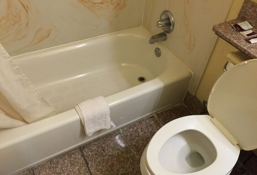 Номер Стандарт 2 Двуспальные Кровати, Encore Motel
