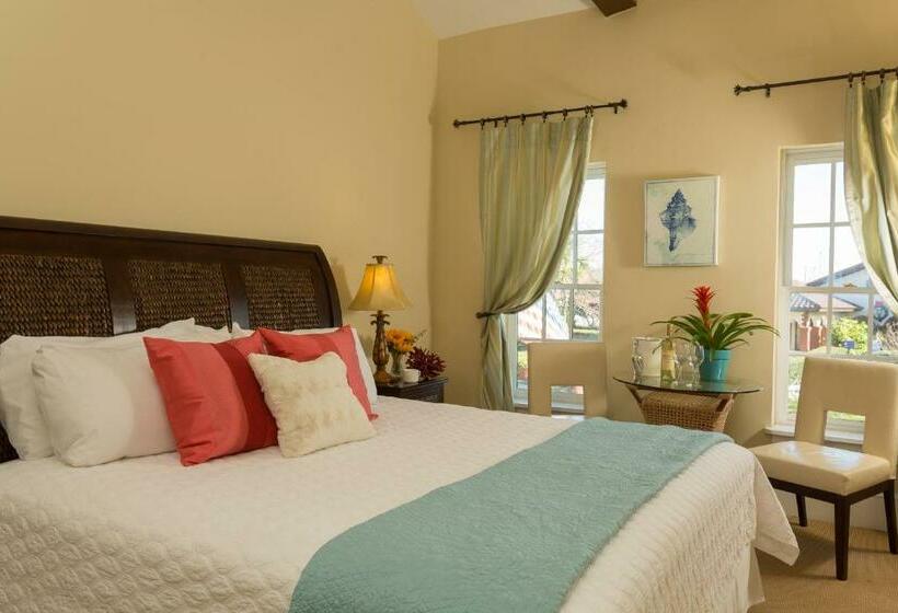 스탠다드 스튜디오 킹침대, Bella Bay Inn