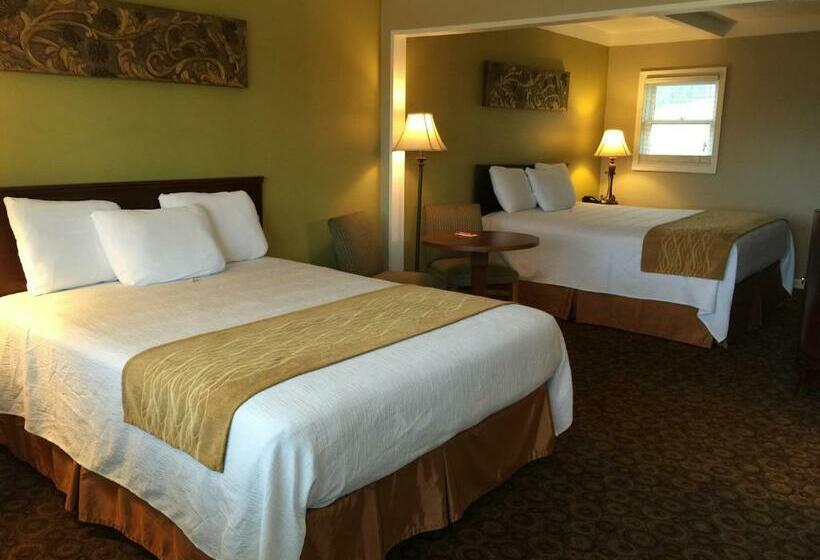 Номер Стандарт, Kentucky Lake Inn