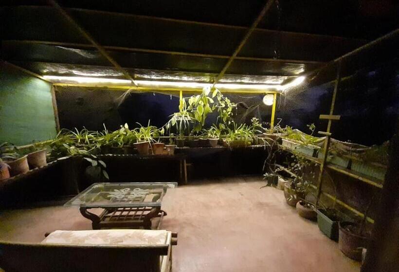 Номер Deluxe с Террасой, Mcleodganj Bed & Breakfast