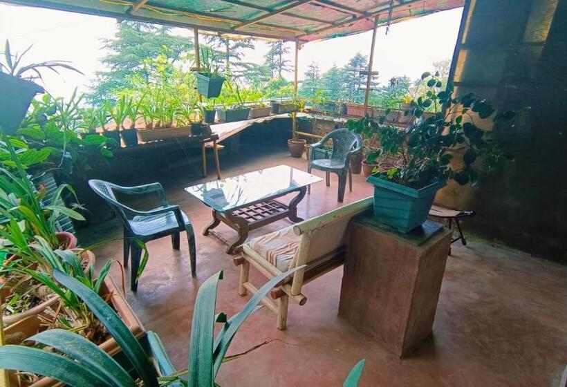 Номер Deluxe с Террасой, Mcleodganj Bed & Breakfast
