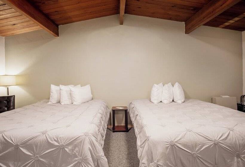 غرفه قياسيه سريرين مزدوجين, The Pioneer Motel