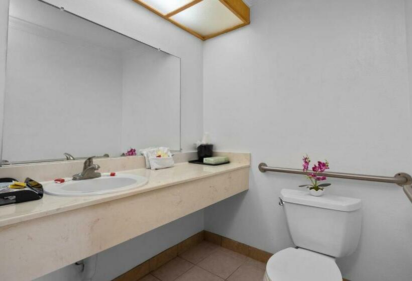 Стандартный Номер Кровать Кинг, Americana Inn Motel