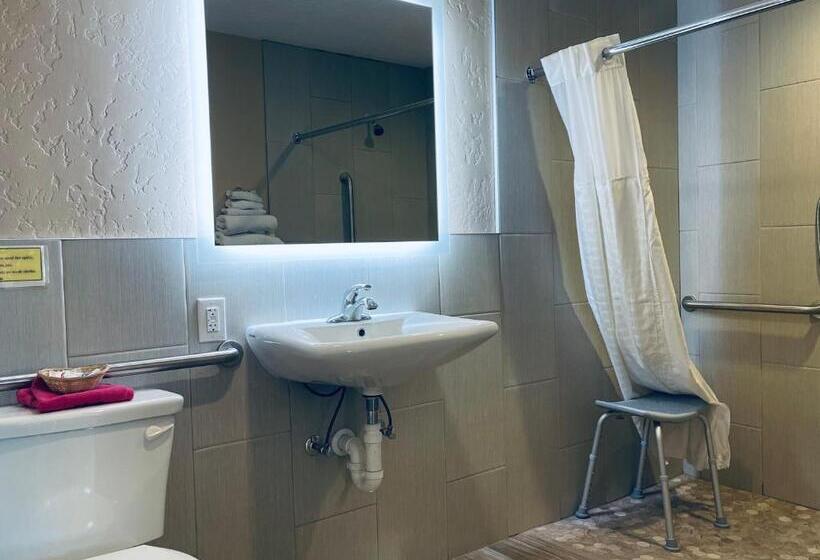 带2个双人床的标准工作室, Century 21 Motel