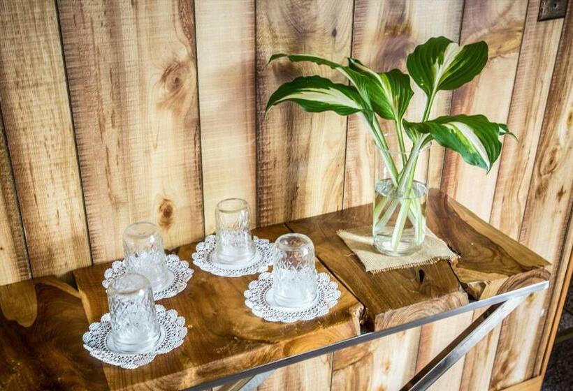 スタンダードルーム, Pine Hill Arms