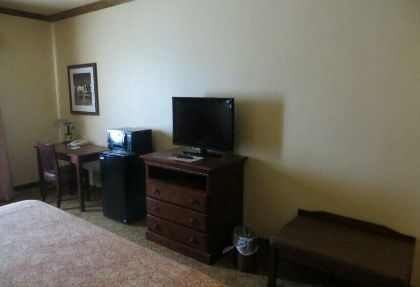 キングサイズベッドのスタンダードルーム, Texas Hallettsville