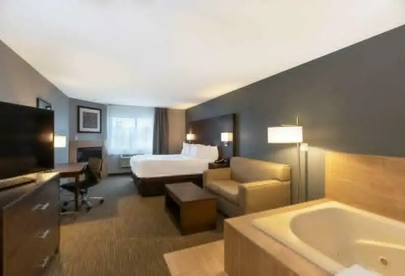 Deluxe-huone, Wingate By Wyndham Wisconsin Dells Waterpark