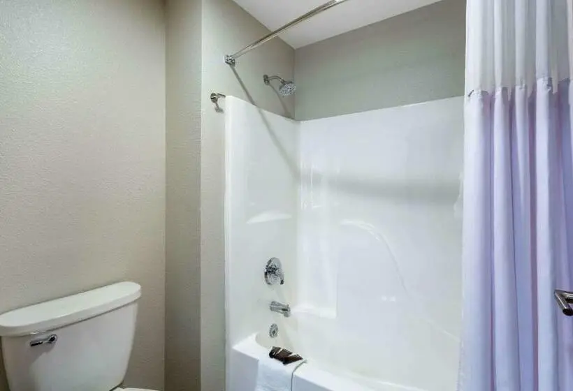 Premium-huone, Wingate By Wyndham Wisconsin Dells Waterpark