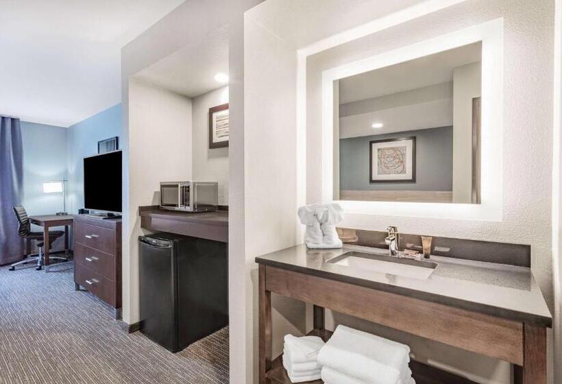 Люкс Premium 2 Спальни, Wingate By Wyndham Wisconsin Dells Waterpark