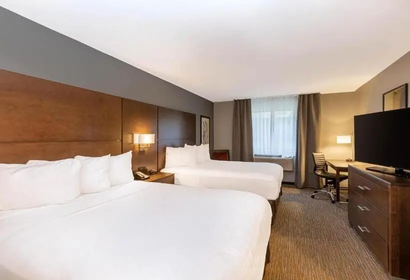 Deluxe-huone, Wingate By Wyndham Wisconsin Dells Waterpark