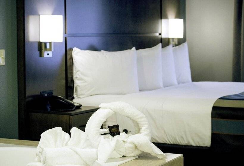 Люкс Superior, Wingate By Wyndham Wisconsin Dells Waterpark