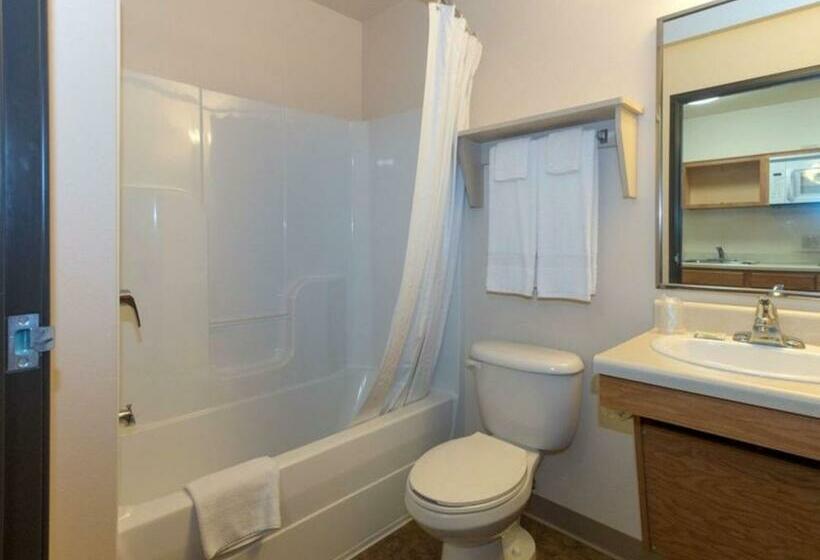 带2个双人床的标准工作室, Woodspring Suites Conroe