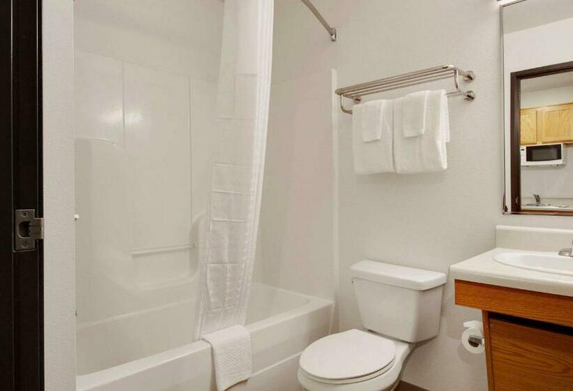 带2个双人床的标准工作室, Woodspring Suites Conroe