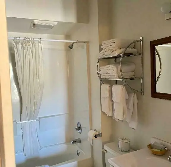 Standard-huone, Holiday Lodge