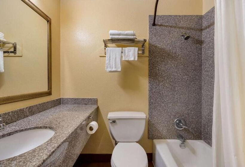 חדר סטנדרט לארבעה, Rodeway Inn & Suites East