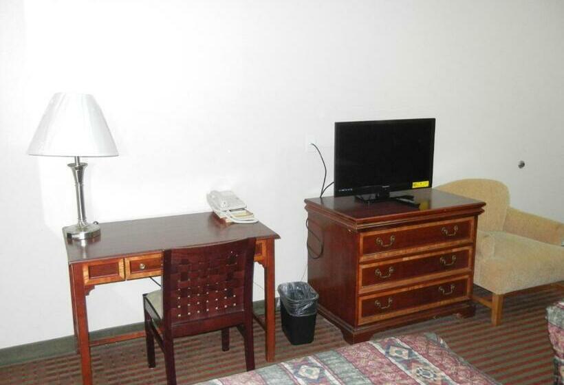 带2个双人床的标准工作室, The Surrey Inn