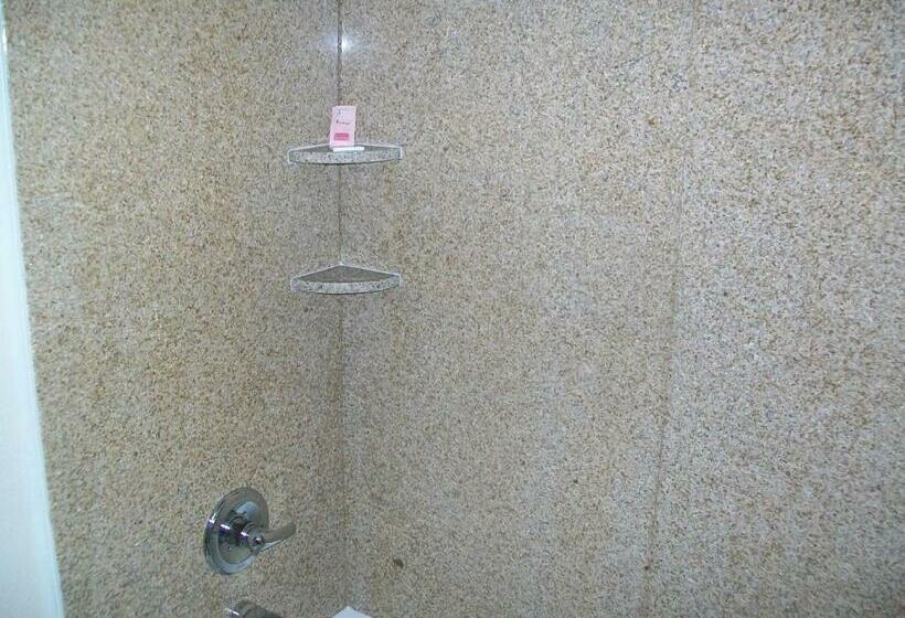 带大床的标准间, The Surrey Inn