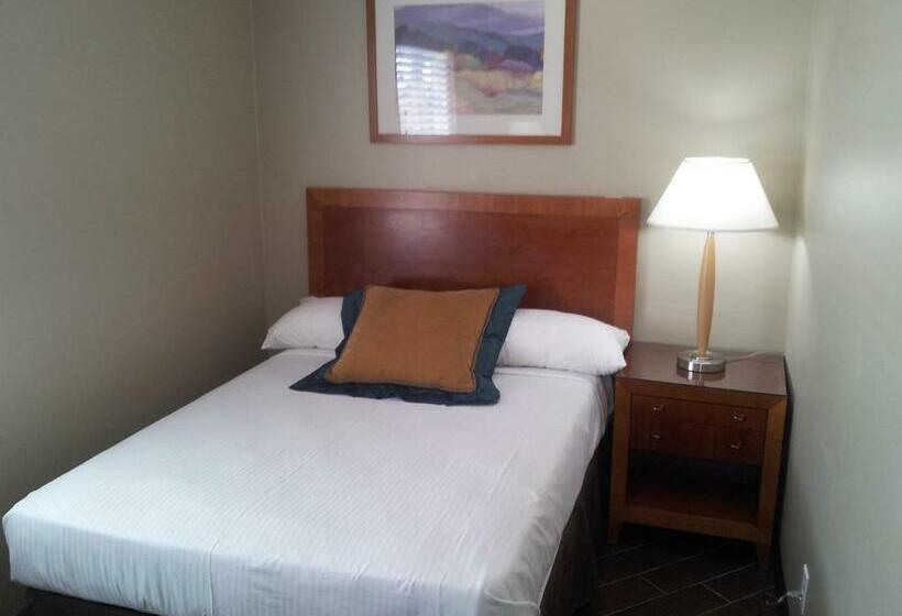 غرفه قياسيه سريرين مزدوجين, Oasis Boutique Motel