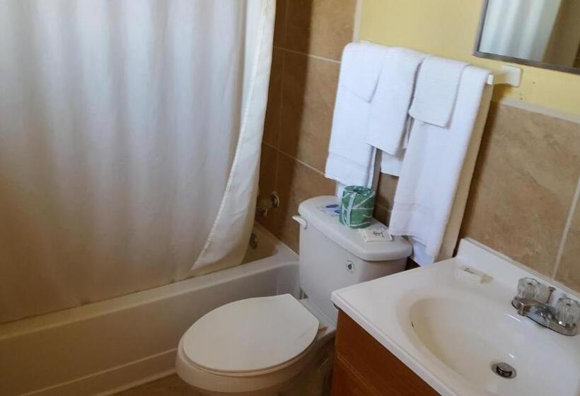 غرفة قياسية, Sands Motel