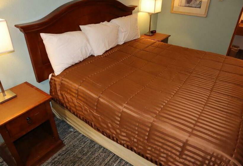 Büyük Çift Kişilik Yataklı Standart Oda, Silver Sands Motel