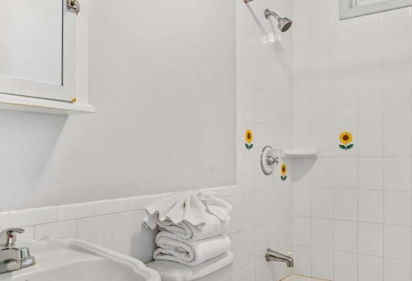 إستوديو قياسى, Beach Plum Resort