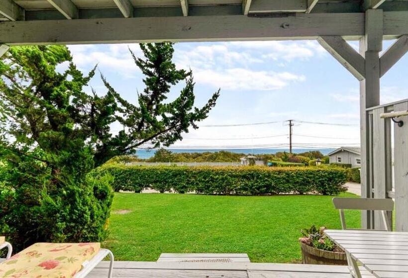 إستوديو قياسى, Beach Plum Resort