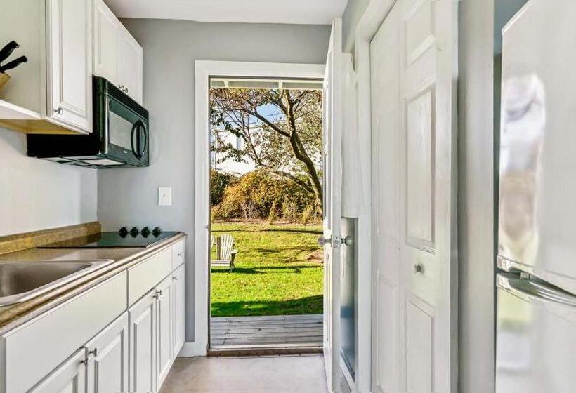 إستوديو قياسى, Beach Plum Resort