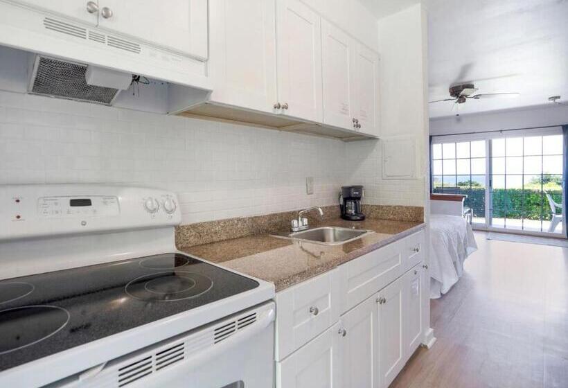 إستوديو قياسى, Beach Plum Resort