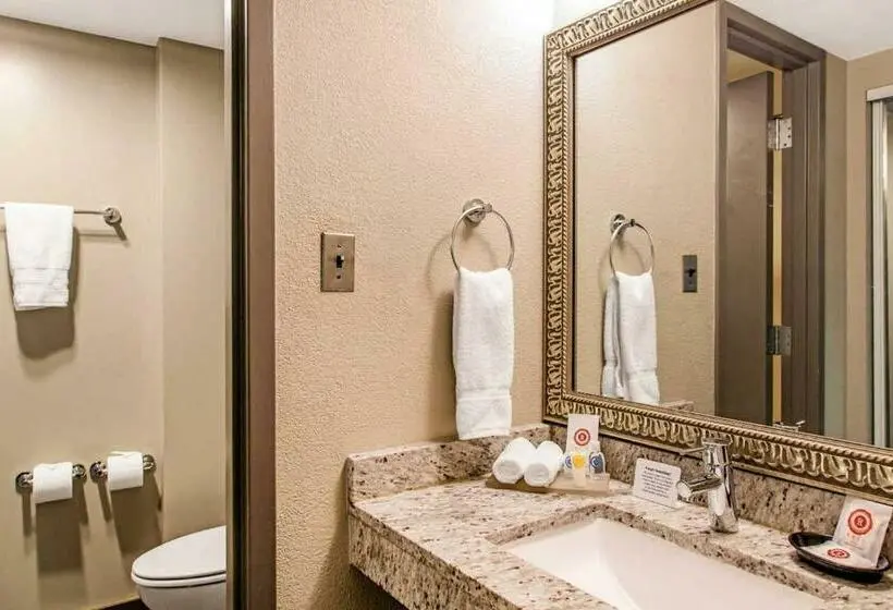 キングサイズベッドのスタンダードルーム, Comfort Inn Largo Washington Dc East