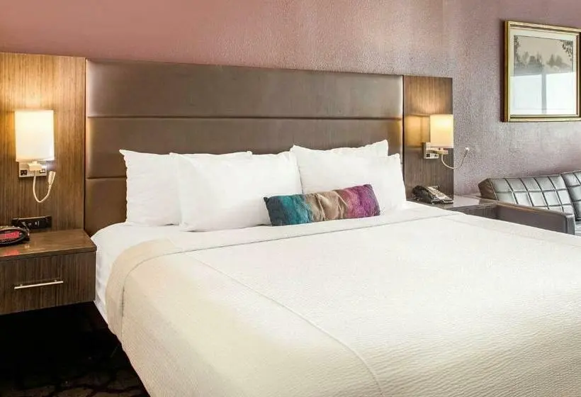 キングサイズベッドのスタンダードルーム, Comfort Inn Largo Washington Dc East