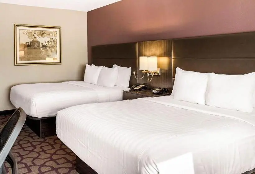 スタンダードルーム, Comfort Inn Largo Washington Dc East