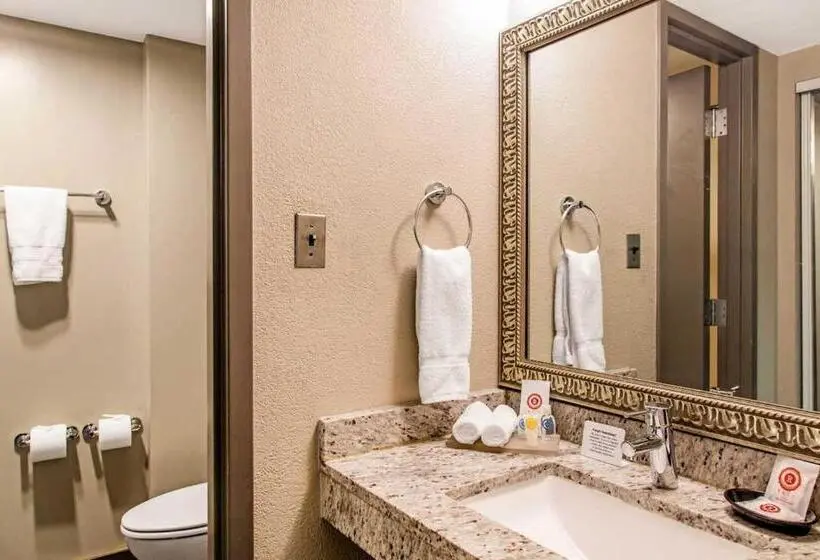 身障者適用スタンダードルーム, Comfort Inn Largo Washington Dc East