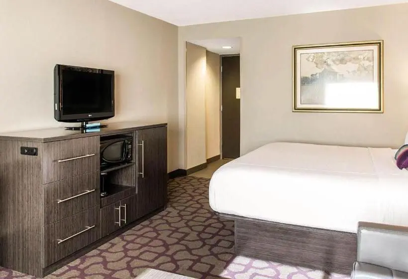 身障者適用スタンダードルーム, Comfort Inn Largo Washington Dc East