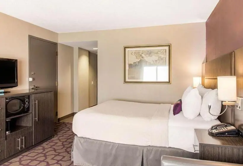 身障者適用スタンダードルーム, Comfort Inn Largo Washington Dc East