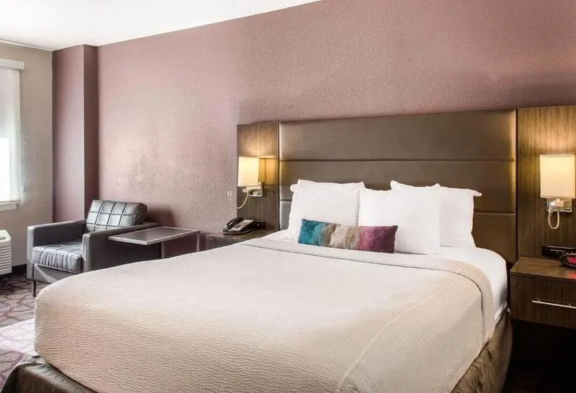 身障者適用スタンダードルーム, Comfort Inn Largo Washington Dc East
