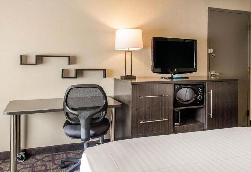 장애인을 위한 스탠다드 룸, Comfort Inn Largo Washington Dc East